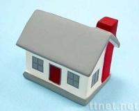 P302房子promotional item